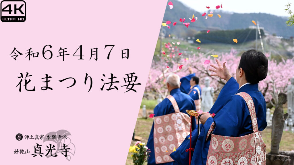 令和6年 真光寺 花まつり法要ダイジェスト動画 - 真光寺 令和6年 真光寺 花まつり法要ダイジェスト動画 - 真光寺
