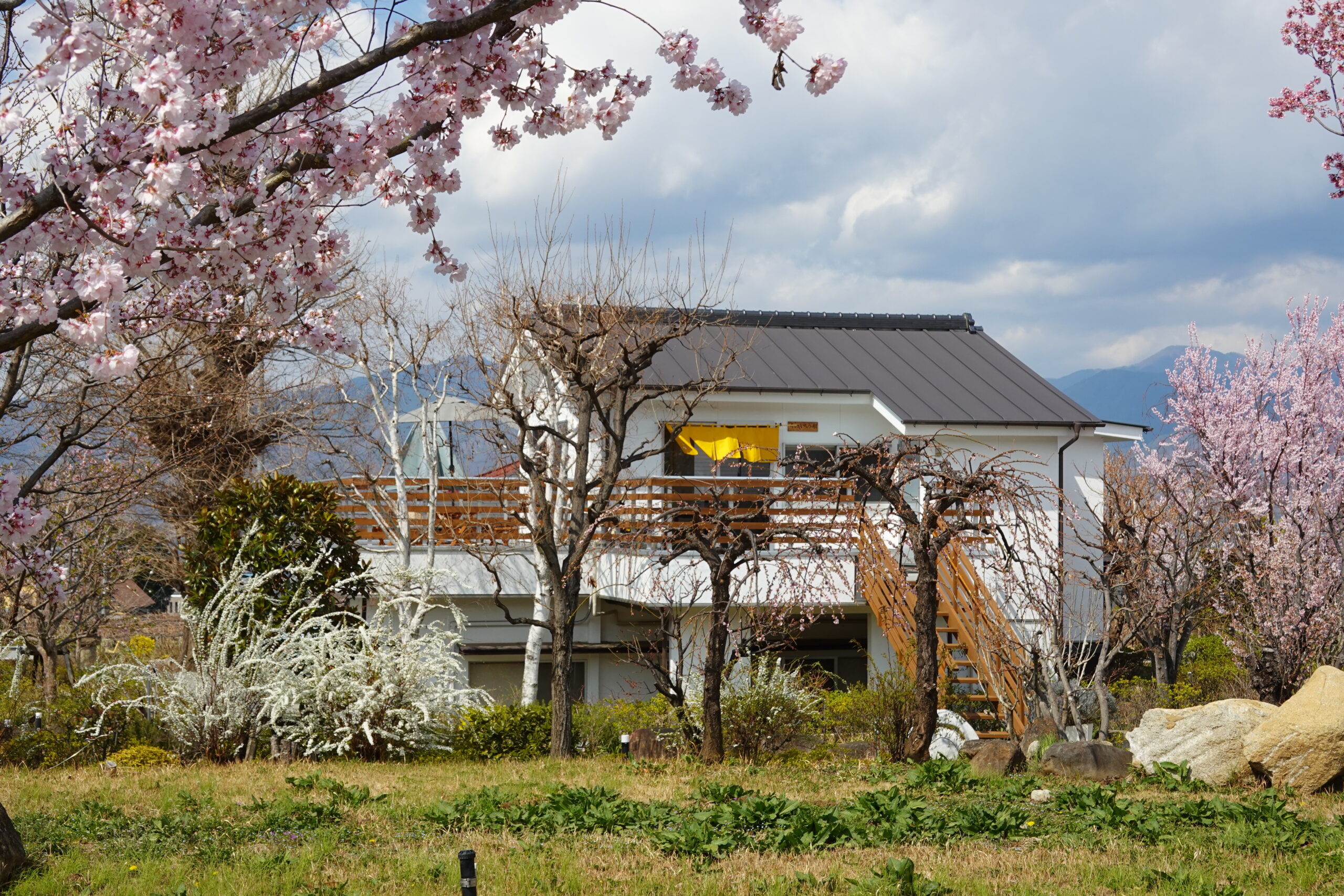 春季彼岸会法要の様子