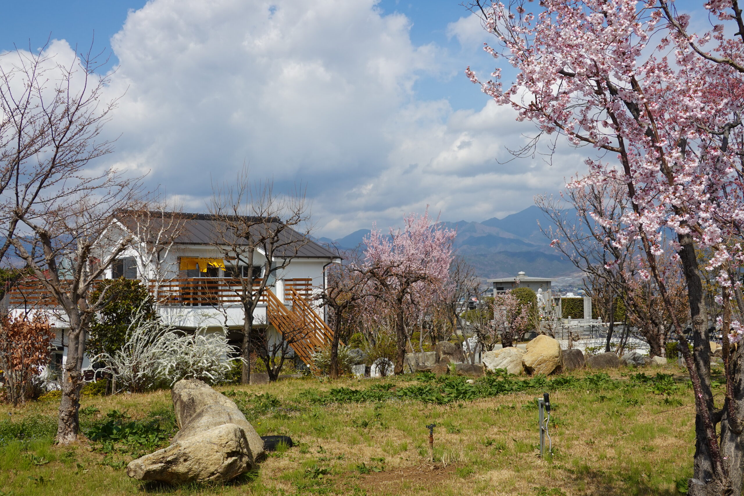 春季彼岸会法要の様子